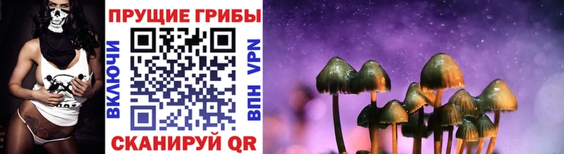 Купить закладки  Сим  Псилоцибиновые грибы Psilocybine cubensis 